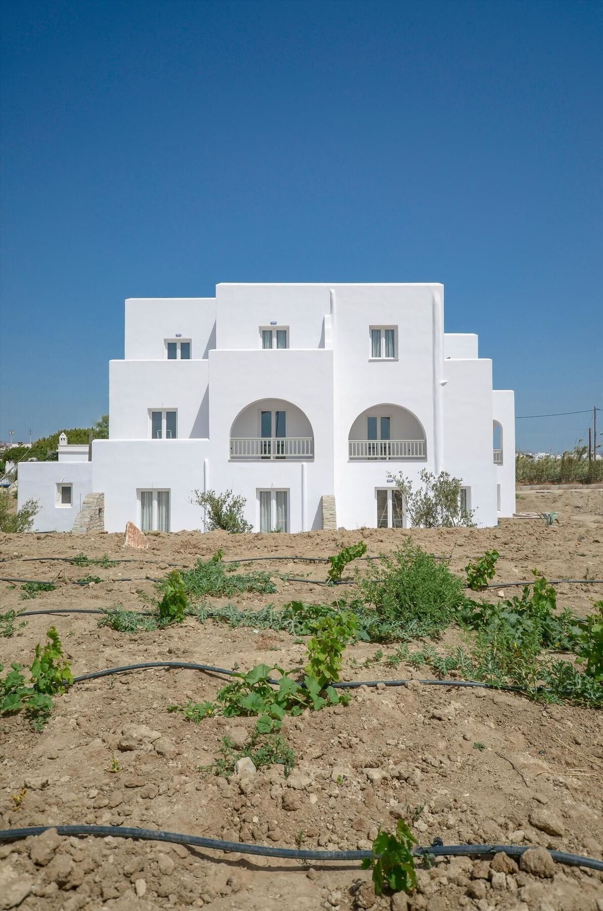 Ktima Lino Apartment Agia Anna  Luaran gambar